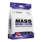 Mass Gainer Protein Powder, Strawberry, Out Angled Method Mass Weight Gainer 6kg