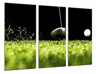 Cuadros Camara Tableau Moderne Photographique, Impression sur Bois, Golf, Ballon, Pelouse, Sport, 97 x 62 cm, ref. 26665