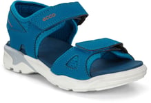 Ecco Biom Raft Sandaler, Olympian Blue 31