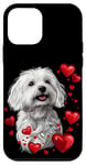 Coque pour iPhone 12 mini Coeurs de Coton de Tuléar pour la Saint-Valentin