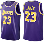 Hyzb Unisexe Basketball Jersey Los Angeles Lakers Lebron James 23 Retro Basketball Shirt d'été de Basket-Ball de pressage à Chaud Tops (Color : Purple, Size : L(170-175cm))