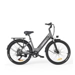 Vélo Électrique HillMilES MileCity 1 - 250W Moteur 36V13Ah Batterie Pneus 26 Pouces Freins à Disques Mécaniques - Gris - Neuf