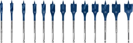 Bosch EXPERT SELFCUT Speed Bo. 13tlg. Set 10-32mm