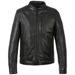 Veste Oakwood  AGENT NOIR 501