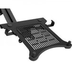 Loctek NCS105 10-17.3 Laptop Holder Tray -Black, Compatible with all LOCTEK Desk Mount / 5 Years