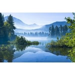 Papier Peint Photo INTISSÉ-(204068)-FORÊT DE BROUILLARD DU LAC DU MATIN-300x223cm-6 lés-Mural Poster Géant XXL-Fleur Beach Mer