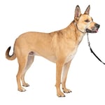 PetSafe Gentle Leader Licol anti-traction pour chien – La solution ultime pour tirer – Redirige la traction de votre chien pour des promenades plus faciles – Vous aide à reprendre le contrôle – Taille