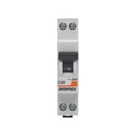 DEBFLEX - Disjoncteur 20A Phase + Neutre 3KA - Module Coupe-Circuit - Certifié NF - Installation dans Tableau Electrique - Gris