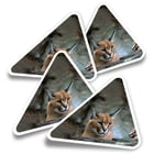 4x Triangle Stickers - Caracal African Lynx Cat #3171