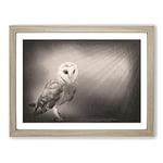 Light Upon The Barn Owl Modern Art Framed Wall Art Print, Ready to Hang Picture for Living Room Bedroom Home Office Décor, Oak A4 (34 x 25 cm)