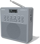 DAB/DAB+ FM Digital Portable Radio with Bluetooth, Presets, Auto Tune, Rechargea