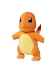 Pokemon Charmander