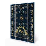 Pyramid International Fantastic Beasts The Secrets of Dumbledore Wood Print (Walk of the Qilin Design) 40cm x 59cm Wood Print - Official Merchandise