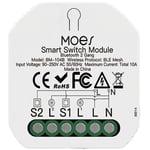 Tuya Smart Bluetooth 2 Gang Switch Module DIY Light Breaker Smart Life APP Fonctionne avec Alexa Voice Control