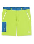 Jack Wolfskin Overland Shorts Men's Shorts - Spring Lime, 52