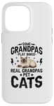 iPhone 14 Pro Max Some Grandpas Play Bingo Real Grandpas Pet Cats Siamese Cat Case