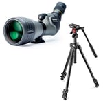 Vanguard Endeavor HD82A + 20-60x + Manfrotto 290 Light + 400AH