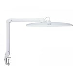 MAUL Lampe LED MAULexplore | Lampe de travail professionnelle | LED dimmable | Lampe à pince LED de 6500 K | Lampe lumière du jour pour bureau, modélisme, atelier | Blanc