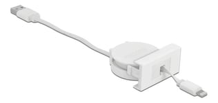 DeLOCK Easy 45 Module USB 2.0 Cable USB Type-A to 8 Pin Lightning