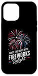 iPhone 12 Pro Max Fireworks Director Ignite The Night With Fireworks Delight Case