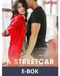 A Streetcar Named Desire, E-bok