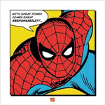 Marvel Comics Spider-Man (with Great Power) 40 x 40 cm Toile Imprimée