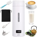 Ulisem - 500ML Mini Bouilloire portable Electrique de Voyage, 4 Temperatures Bouilloire Electrique, Acier inoxydable 304 avec Brosses et sacs, Tasse