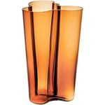 Iittala Aalto 1007881 Vase en Verre Couleur cuivre 17 x 17 x 25 cm