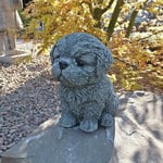 Statue De Jardin, 1 Pièce, Décoration D'extérieur Pour Les Amoureux Des Chiens, Cadeau Pour Les Amoureux Des Chiens, Chiot Shih Tzu