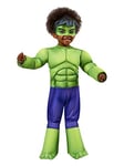 Rubie's Official Marvel Spidey and His Amazing Friends Hulk Deluxe Toddler Costume, Kids Superhero Fancy Dress, Age 3-4 Years (702737)