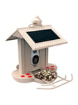 Bullboat HiBirds - WiFi Smart bird feeder 1080HD camera and AI bird recognition - (HB-5543)