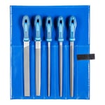 Pferd 542WR250H2 Type Cut 2 Machinist's File Set, Multi-Colour, 250 mm, 5-Piece