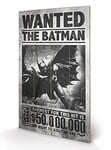 Pyramid International Batman Arkham Origins (Wanted) -Wood Print 45 x 76cm, Multi-Colour, 45 x 76 x 1.3 cm