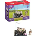 Box Lavage Chevaux avec Figurine Cheval et Cavalier - Coffret de Lavage de Chevaux de 11 Pièces avec Cheval, Cavalier et