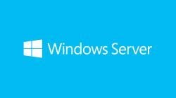 Microsoft COEM SB WIN SERVER STANDARD 2019 D