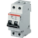 Automatsikring S202M 2p B10A ABB