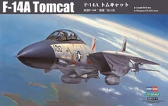 „Hobby Boss“ F-14A Tomcat