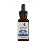 Stone Breaker Chanca Piedra Certified Organic 1 Fl Oz