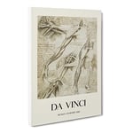 Human Anatomy Vol.1 By Leonardo Da Vinci Exhibition Museum Painting Canvas Wall Art Print Ready to Hang, Framed Picture for Living Room Bedroom Home Office Décor, 30x20 Inch (76x50 cm)