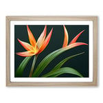 The Bird Of Paradise Flower Vol.3 H1022 Framed Print for Living Room Bedroom Home Office Décor, Wall Art Picture Ready to Hang, Oak A2 Frame (64 x 46 cm)