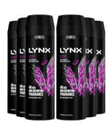 Lynx Mens XL 48-H High Definition Fragrance Excite Body Spray Deodorant 6 Pack, 200ml - Black Lace - One Size