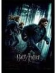 Pyramid International Harry Potter (Deathly Hallows Part 1)" Framed  (US IMPORT)