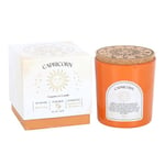 Capricorn Zodiac Candle Sandalwood & Jasmine Gemstone Tiger's Eye  Essential Oil