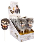 18 stk Harry Potter Marshmallow Pop med Jordbærsmak Assortert Design - Hel Eske