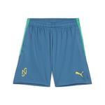 Puma Boys Neymar JR "BNA" Shorts 2.0 - Blue - Size 11-12Y