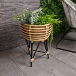 Charles Bentley Casablanca Plant Stand Natural Black Rattan