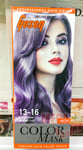 Gosen Professional Permanent Hair Dye Colour Cream Mask 13-16 Purple Gray