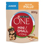 Purina One Mini Moins de 10 kg Junior Croquettes pour Chiots de Petite Taille Riche en Poulet avec Riz, 8 Paquets de 800 g