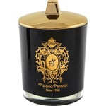 Tiziana Terenzi Home Doftljus Almond Vanilla 170 g (7.624,00 kr / 1 kg)