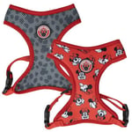 CERDÁ LIFE'S LITTLE MOMENTS Harnais pour Chien Minnie au Design Exclusif, Confortable et réglable, idéal pour promenades et entraînement, matériau résistant et Respirant (Minnie Mouse, XS-S)